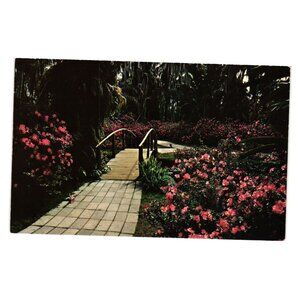 Azaleas Cypress Gardens Rustic Bridge Vintage Postcard Color Printed In USA